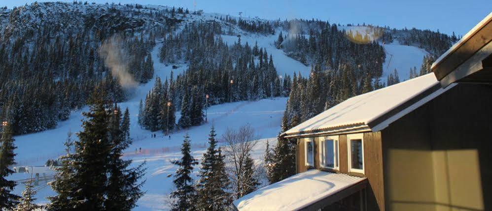 Kvitfjell Alpinhytter Kvitfjellvegen 492 Exterior photo